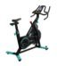 Active BIKE 300 Smart